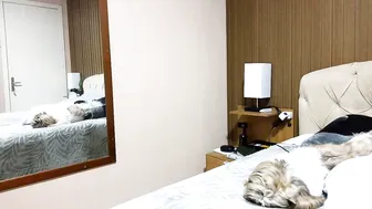 laylabrasil video (10-14-2026)