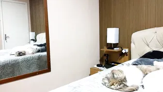 laylabrasil video (10-14-2026)