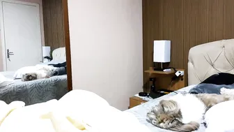 laylabrasil video (10-14-2026)