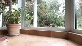 Patry333 amateur cam 10/17/2026