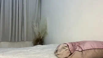 Im_meli 10-17-2026 petite