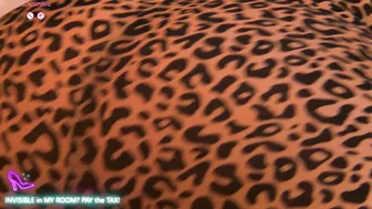 Zoemesmerizee 24-Jul-25