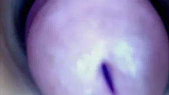 paulainoscente recorded nude video 116217