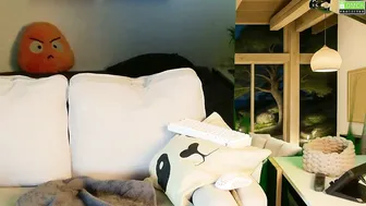 Nikki_goldberg video sex cam chat