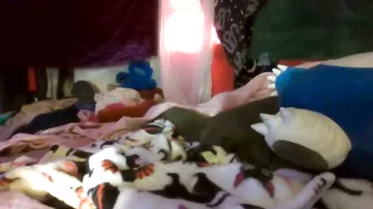 Siofra chastity cam sex chat