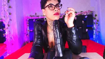 canela_osadaa_ (08/06/2025)