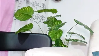 Elizabethcampbell asian (08-08-2025)