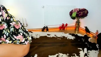 Viciousqueen small live on cam