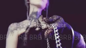littlespacemouse recorded nude video 140318