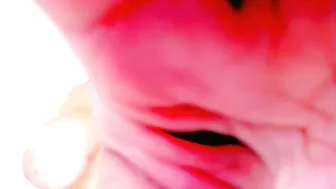 carlota_peach recorded nude video 153610