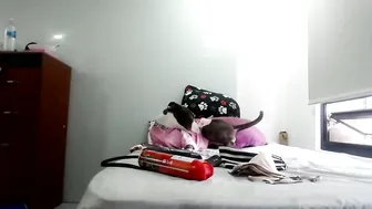 doll_sary recorded nude video 157915