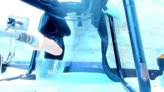 Amelia_myers 08/27/2025