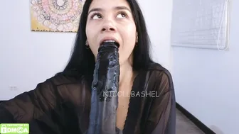 nicollbashel recorded nude video 164971