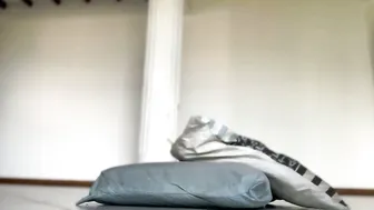 lil_ith recorded nude video 188368