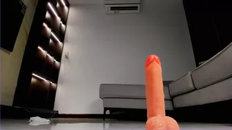 Zira_lu cam 03-10-2025