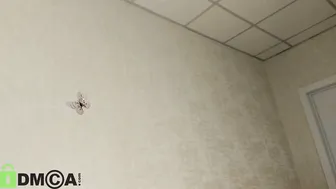 Blossom_sonya bigass porn cam