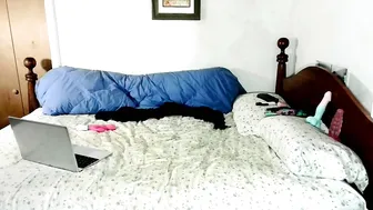 53roxy interactivetoy chat cam sex