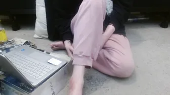Hollyhawkes sissy - 03/17/2025