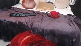 Cloemurphy (09/27/2025)