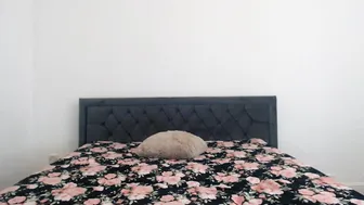 stella_john squirt cam sex porn