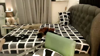 tshugescock chat porn video 29-Sep-2025