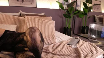 ellediane porn chat amateur webcam video