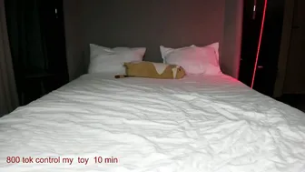 Carolinaherera porn sex chat 10-02-2025