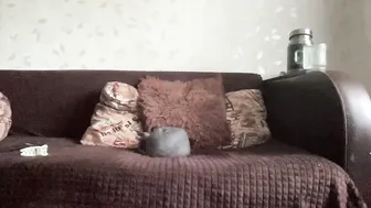 call_me_dad_ recorded nude video 229362