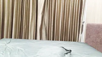 Mintapollo chat sex cam (10/03/2025)