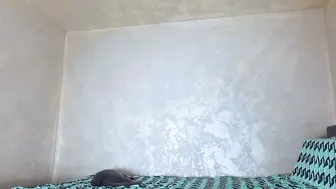 edavanessa7 on webcam 10-08-2025
