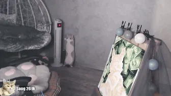 _mother_of_cats recorded nude video 240880