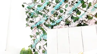 lexi_bloom cam sex chat (10-12-2025)