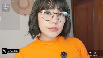 Tamyeliot webcam on webcam