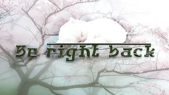 sleepyheadcats recorded nude video 272402