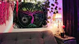 alexiafisher_ shorthair - 21 October 2025