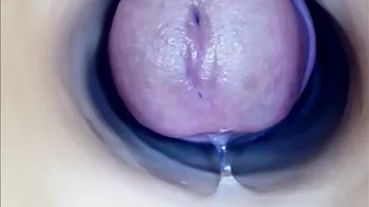 paulainoscente cam porn 01-May-25