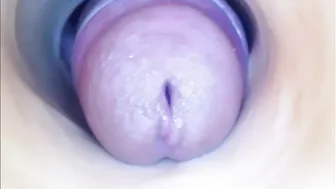 paulainoscente cam porn 01-May-25