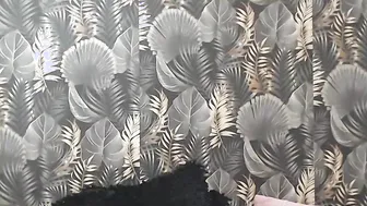 Lisagrand chat cam porn 02-May-2025