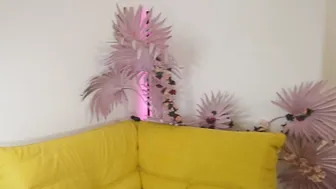 Tiffanyjons teen 26-Oct-25