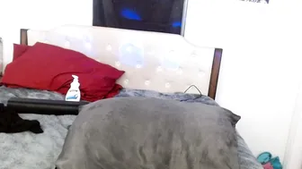 laceyphoenix1 recorded nude video 291327