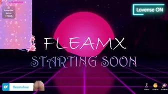 fleamx 2024-10-30 10:56:07