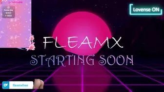 fleamx 2024-10-30 10:56:07