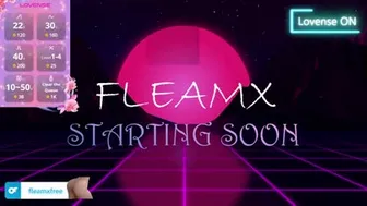 fleamx 2024-10-30 10:56:07
