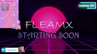 fleamx 2024-10-30 10:56:07