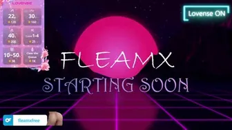 fleamx 2024-10-30 10:56:07