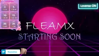 fleamx 2024-10-30 10:56:07