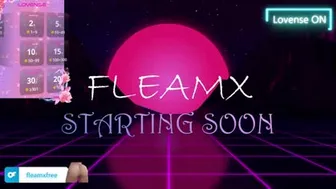 fleamx 2024-10-30 10:56:07