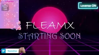 fleamx 2024-10-30 10:56:07
