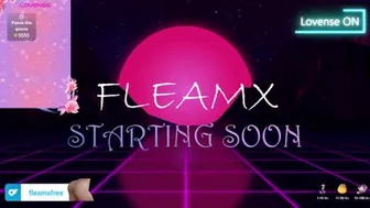 fleamx 2024-10-30 10:56:07