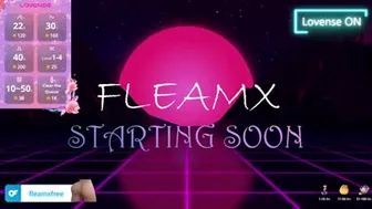 fleamx 2024-10-30 10:56:07